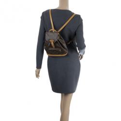 Pre Owned Louis Vuitton Monogram Canvas Mini Montsouris Backpack
