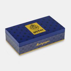Montegrappa Harry Potter: Ravenclaw Limited Edition Fountain Pen (B)