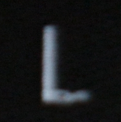 Pre Owned Philipp Plein Tiger Print Lurex Bomber Jacket L