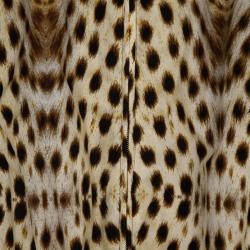 Pre Owned Roberto Cavalli Leopard Print Jacket M