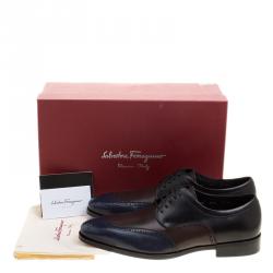 Pre Owned حذاء ديربي سالفاتوري فيراغامو مورانو جلد بروغي ثلاثي اللون مقاس 43.5