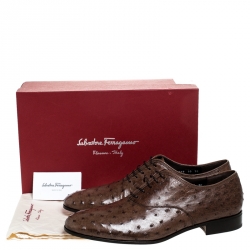 Salvatore Ferragamo Brown Ostrich Leather Gris Lace Up Oxfords Size 44