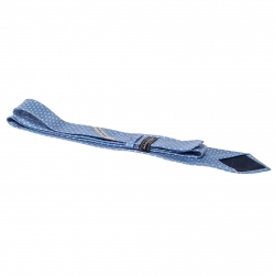 Pre Owned Salvatore Ferragamo Light Blue Fish Print Silk Tie