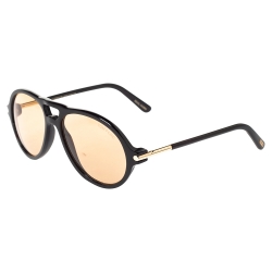 Tom Ford Brown Tom N.10 Sunglasses