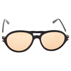 Tom Ford Brown Tom N.10 Sunglasses