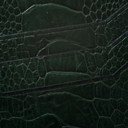 Pre Owned Tom Ford Green Ostrich Leg Skin Card Holder