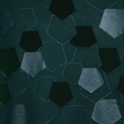 Pre Owned Z Zegna Green Pentagon Flock Printed Short Sleeve T-Shirt XL