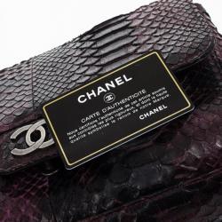 Pre Owned Chanel Python Classic Flap Shoulder Bag