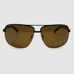 Calvin Klein Brown CK7467SP Unisex Sunglasses 