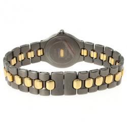 Longines Titanium Unisex Writstwatch 35 MM