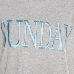 Pre Owned Alberta Ferretti Grey Cotton Sunday Embroidered Oversized T-Shirt XS