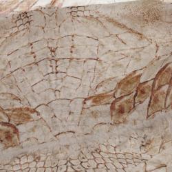 Pre Owned Alexander McQueen Beige Morphing Python Square Scarf