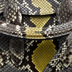 Pre Owned Alexander McQueen Multicolor Python Mini Heroine Shoulder Bag