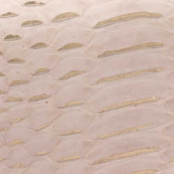 Pre Owned Alexander McQueen Beige/Gold Python Crystal Embellished Skull Clutch