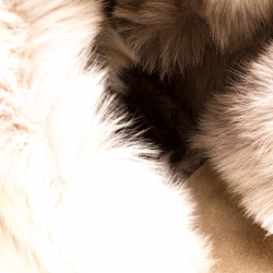 Baldinini Beige Fur and Croc Embossed Leather with Fur Lining Shoulder Bag