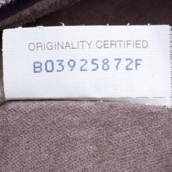 Pre Owned Bottega Veneta Purple Intrecciato Leather Hobo