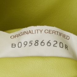 Pre Owned Bottega Veneta Light Green Leather The Chain Pouch Bag