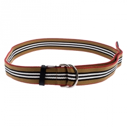 D Ring Belt Icon Stripe - Burberry