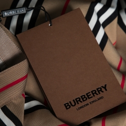 Pre Owned Burberry Beige Icon Striped Pleat Detailed Skirt S