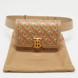 Pre Owned Burberry Multicolor TB Monogram Leather Mini Belt Bag
