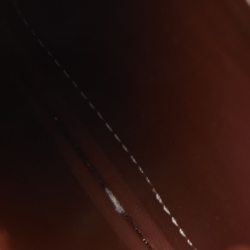 Pre Owned Burberry Off White/Brown Canvas And Leather Anne Phone Case