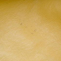 Pre Owned Bvlgari Polly Handbag