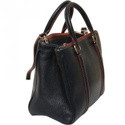 Pre Owned Carolina Herrera Dark Blue/Red Leather Matteo Tote