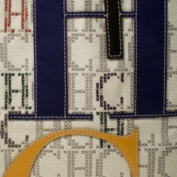 مملوكة مسبقًا Carolina Herrera Multicolor Monogram Canvas Shopper Tote