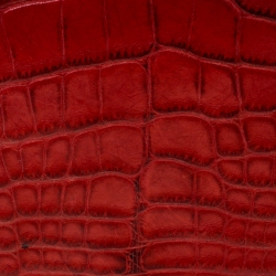 Pre Owned Cartier Red Alligator Must de Cartier Flap Wallet