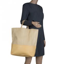 Pre Owned Celine Beige Python and Leather Vertical Cabas Phantom Tote