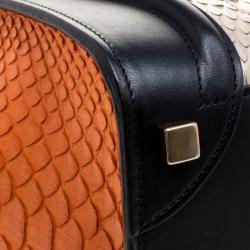 Pre Owned حقيبة يد سيلين مايكرو لاغيدج جلد وجلد ثعبان ثلاثية اللون