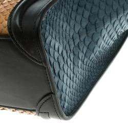 مملوكة مسبقًا Celine Multicolor Python and Leather Nano Luggage Tote