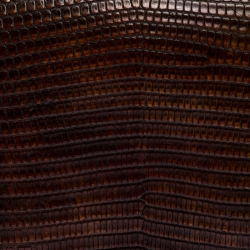 Pre Owned محفظة سيلين بسحاب ملتف جلد سحلية بنية