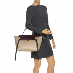 Pre Owned Celine Beige/Burgundy Leather Nano Belt Bag