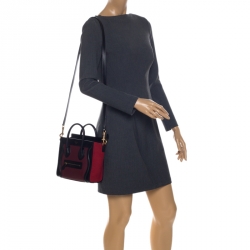 Pre Owned Celine Tricolor Leather Nano Luggage Tote