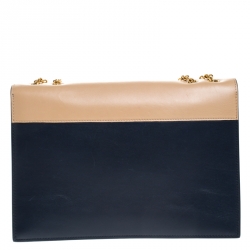 Pre Owned Celine Multicolor Leather and python Pocket Envelope Shoulder Bag