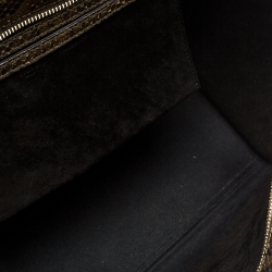 Pre Owned Celine Tricolor Python and Leather Medium Trapeze Bag