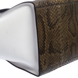 Pre Owned Celine Tricolor Python and Leather Medium Trapeze Bag