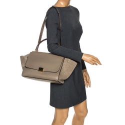Pre Owned Celine Beige Leather and Suede Python Handle Medium Trapeze Bag