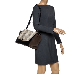 Pre Owned Celine Tricolor  Python/Suede and Leather Medium Trapeze Bag