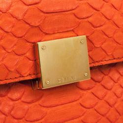 Pre Owned Celine Orange Large Trapeze Exotic Bag