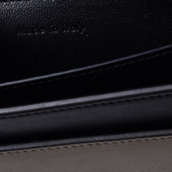 Pre Owned Celine Multicolor Leather Pocket Envelope Shoulder Bag