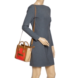 Pre Owned Celine Tri Color Python and Leather Nano Luggage Tote