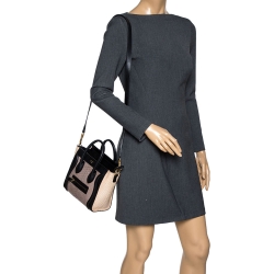 مملوكة مسبقًا Celine Tri Color Python and Leather Nano Luggage Tote