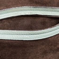 Pre Owned Celine Mint Green Leather Medium Phantom Luggage Tote