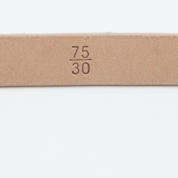 Chanel Beige/Brown Snakeskin Leather Thin CC Buckle Belt 75 CM