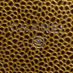 Chanel Gold Leather Halfmoon WOC Bag