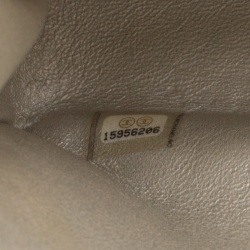 مملوكة مسبقًا Chanel Metallic Beige Shimmering Quilted Leather Medium Classic Double Flap Bag