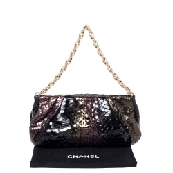 Pre Owned Chanel Metallic Multicolor Pleated Python CC Chain Frame Bag