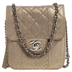 مملوكة مسبقًا Chanel Beige Shimmer Python Zip Around Square Chain Bag